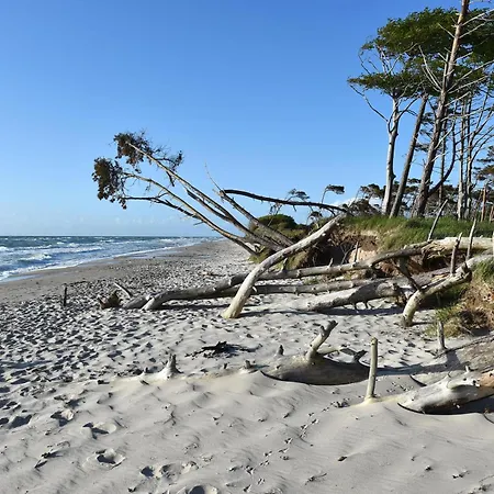 Zingster Welle Im Ostseebad Mit Balkon Apartmán Zingst